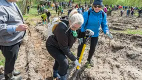 Przy Wilczym Szańcu posadzono 5000 dębów - zdjęcie 55