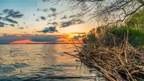 Wiosenny zachód słońca nad Darginem - zdjęcie 57