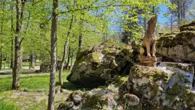 Majowy spacer po Wilczym Szańcu w Gierłoży - zdjęcie 24