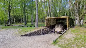 Majowy spacer po Wilczym Szańcu w Gierłoży - zdjęcie 28