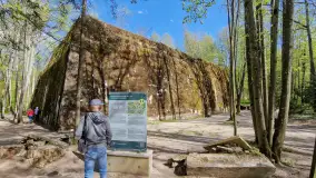 Majowy spacer po Wilczym Szańcu w Gierłoży - zdjęcie 13