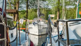 Port Netta, Piękna Góra, maj 2023 r. - zdjęcie 2