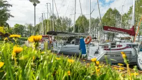 Port Netta, Piękna Góra, maj 2023 r. - zdjęcie 33