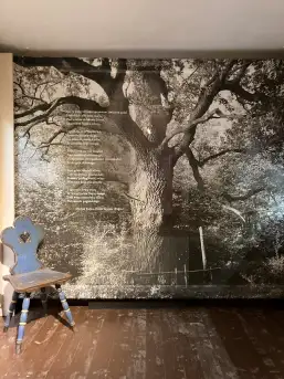 Urokliwe miejsce w sercu Mazur. Muzeum Michała Kajki w Ogródku - zdjęcie 13