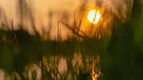 Majowy zachód słońca nad jeziorem Siercze, 2023 - zdjęcie 23