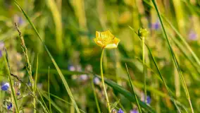 Zachód słońca nad jeziorem Niegocin, maj 2023 r. - zdjęcie 23