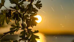 Zachód słońca nad jeziorem Niegocin, maj 2023 r. - zdjęcie 25