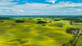 Wspomnienia rzepakowych pól na Mazurach 2023 - zdjęcie 66