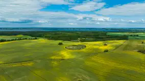 Wspomnienia rzepakowych pól na Mazurach 2023 - zdjęcie 71