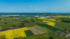 Wspomnienia rzepakowych pól na Mazurach 2023 - zdjęcie 50