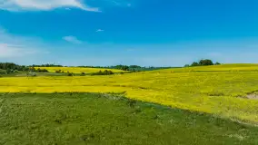 Wspomnienia rzepakowych pól na Mazurach 2023 - zdjęcie 86