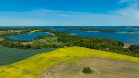 Wspomnienia rzepakowych pól na Mazurach 2023 - zdjęcie 61