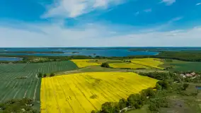 Wspomnienia rzepakowych pól na Mazurach 2023 - zdjęcie 72