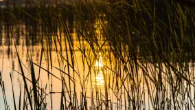 Zachód słońca nad jeziorem Świecajty, widok z Ognistego Ptaka, czerwiec 2023 r. - zdjęcie 27