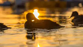Zachód słońca nad jeziorem Świecajty, widok z Ognistego Ptaka, czerwiec 2023 r. - zdjęcie 10