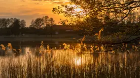 Zachód słońca nad jeziorem Mój, maj 2023 r. - zdjęcie 27