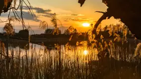 Zachód słońca nad jeziorem Mój, maj 2023 r. - zdjęcie 24