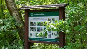 Jezioro Seksty i okolice kanału Jeglińskiego, czerwiec 2023 r. - zdjęcie 18