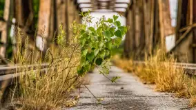 Zachód słońca nad jeziorem Tałty w Mikołajkach, czerwiec 2023 r. - zdjęcie 28