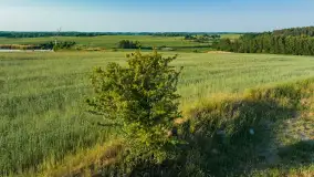 Mazurskie pola i łąki z lotu ptaka, czerwiec 2023 r. - zdjęcie 12