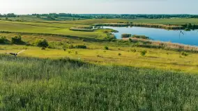 Mazurskie pola i łąki z lotu ptaka, czerwiec 2023 r. - zdjęcie 4