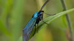 Najmniejsi mieszkańcu Mazur w naszym obiektywie, lipiec 2023 r. - zdjęcie 48