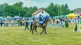 Fotorelacja z Sulimiady, czerwiec 2023 r. - zdjęcie 66