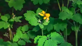 Zachód słońca nad jeziorem Dejgunek, maj 2023 r. - zdjęcie 21