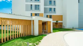 Apartamenty Stranda Residence w sierpniu 2023 roku - zdjęcie 25