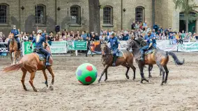 Fotorelacja z czempionatu w Stadzie Ogierów w Kętrzynie, lipiec 2023 - zdjęcie 36