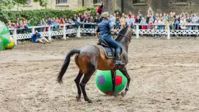 Fotorelacja z czempionatu w Stadzie Ogierów w Kętrzynie, lipiec 2023 - zdjęcie 31