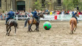 Fotorelacja z czempionatu w Stadzie Ogierów w Kętrzynie, lipiec 2023 - zdjęcie 24