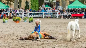 Fotorelacja z czempionatu w Stadzie Ogierów w Kętrzynie, lipiec 2023 - zdjęcie 19