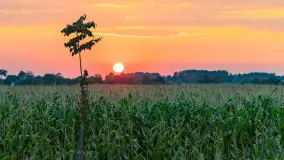 Zachód słońca w okolicach Wopławek i Kętrzyna - zdjęcie 16