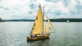 Oldtimery na Kisajnie widoczne z lotu ptaka, sierpień 2023r. - zdjęcie 35