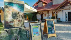 Poranek w tle dla Mew, sierpień 2023 r. - zdjęcie 10