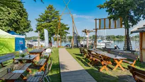 Poranek w tle dla Mew, sierpień 2023 r. - zdjęcie 3