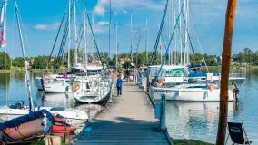 Poranek w tle dla Mew, sierpień 2023 r. - zdjęcie 4