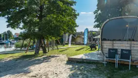 Poranek w tle dla Mew, sierpień 2023 r. - zdjęcie 13