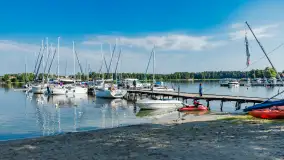 Poranek w tle dla Mew, sierpień 2023 r. - zdjęcie 15