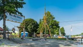 Poranek w tle dla Mew, sierpień 2023 r. - zdjęcie 6