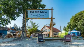 Poranek w tle dla Mew, sierpień 2023 r. - zdjęcie 18