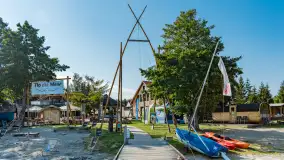 Poranek w tle dla Mew, sierpień 2023 r. - zdjęcie 21