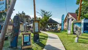 Poranek w tle dla Mew, sierpień 2023 r. - zdjęcie 5