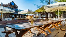 Poranek w tle dla Mew, sierpień 2023 r. - zdjęcie 8