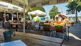 Poranek w tle dla Mew, sierpień 2023 r. - zdjęcie 12