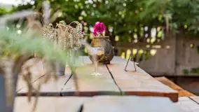 Poranek w tle dla Mew, sierpień 2023 r. - zdjęcie 23