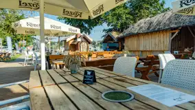 Poranek w tle dla Mew, sierpień 2023 r. - zdjęcie 16