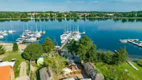 Poranek w tle dla Mew, sierpień 2023 r. - zdjęcie 1