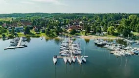 Poranek w tle dla Mew, sierpień 2023 r. - zdjęcie 19